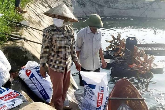 Cá chết ở xã Đoàn Kết